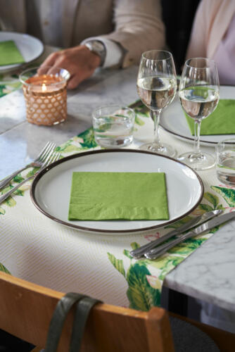 FSR-Customisation_DUNI_Drottning3193