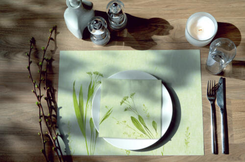 Liz_40_3_PSet_M64541